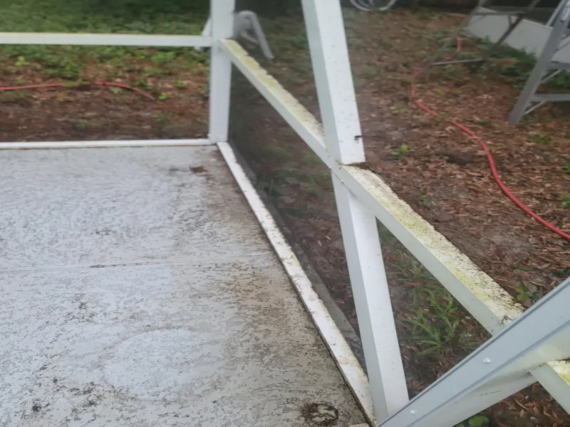 Screen enclosure frame coated in green algae