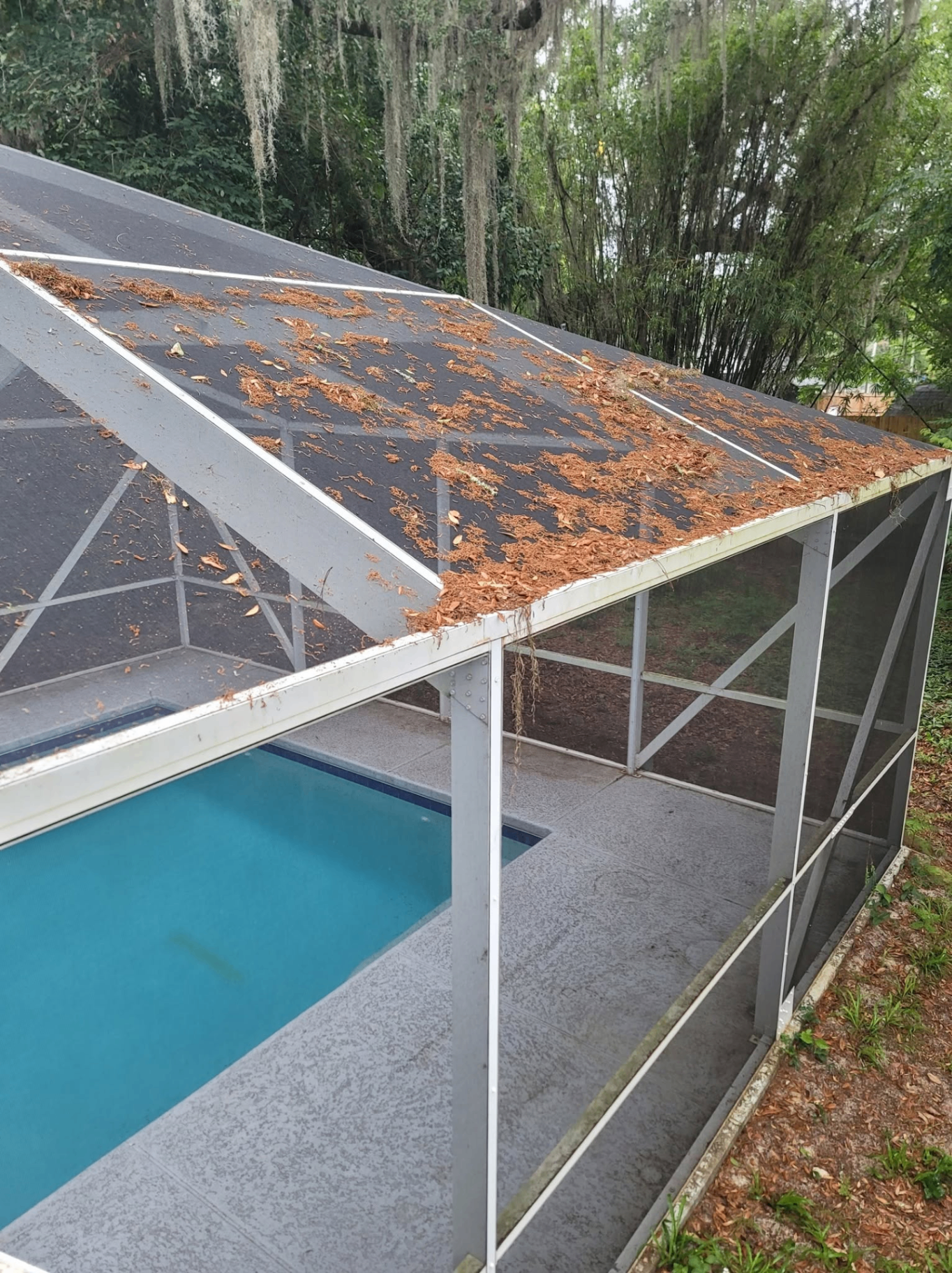 Before — Pool cage roof — oak debris & moss removal